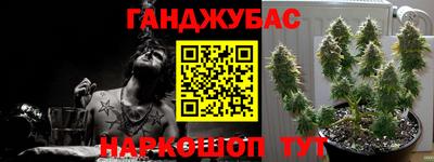 мдпв Кингисепп