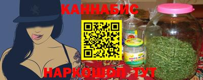 мдпв Кингисепп