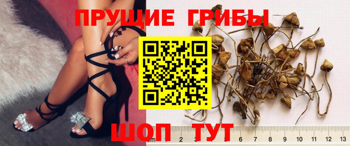 Галлюциногенные грибы MAGIC MUSHROOMS Коркино